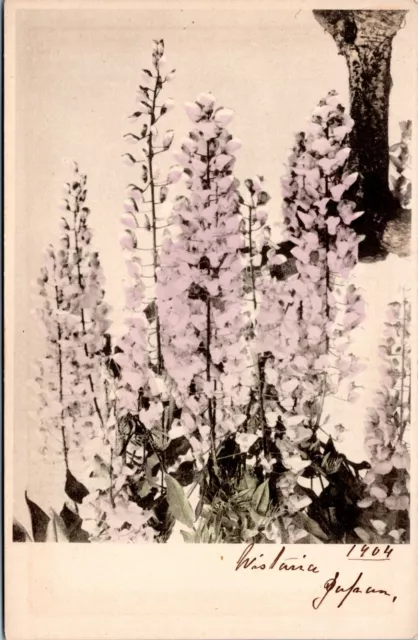 Japan Postcard Flowers Wisteria Unused Antique Purple Floral 1904 PM