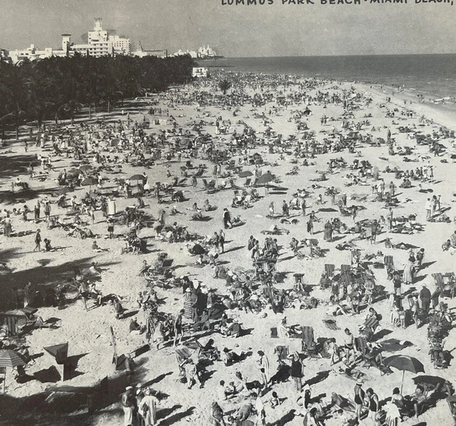 Vtg RARE Kromekote B/w King-Size 9x7 Postcard #205 Lummus Park Miami Beach Fl