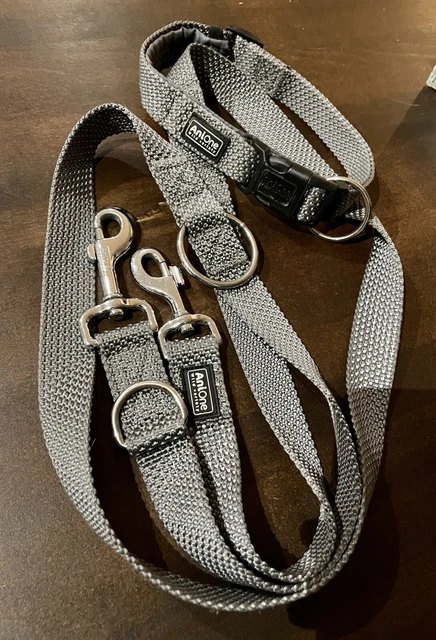 Anione Set Halsband Gr. L + Leine reflektierend 2 m