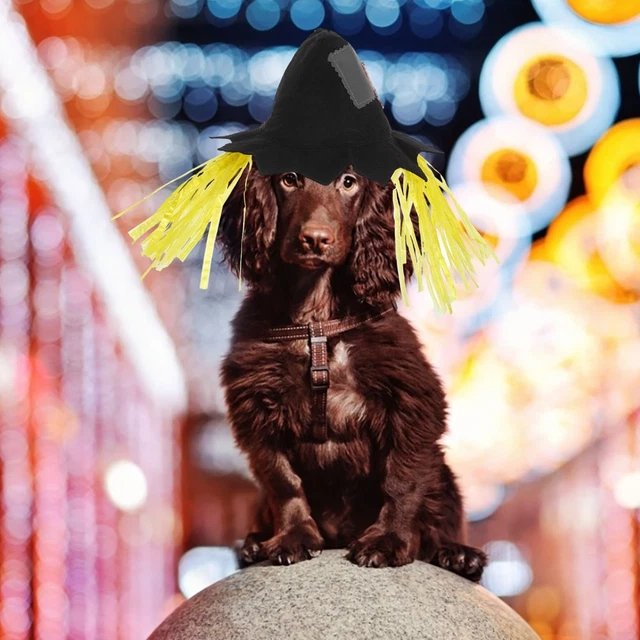 Vogelscheuchen-Hut Für Hunde – Lustiges Halloween-Kostüm Für Haustiere