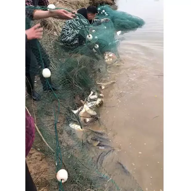 https://www.picclickimg.com/dJ4AAOSwjSpd~05g/Clear-Fishing-Fish-Trap-Monofilament-Gill-Net-Nylon.webp
