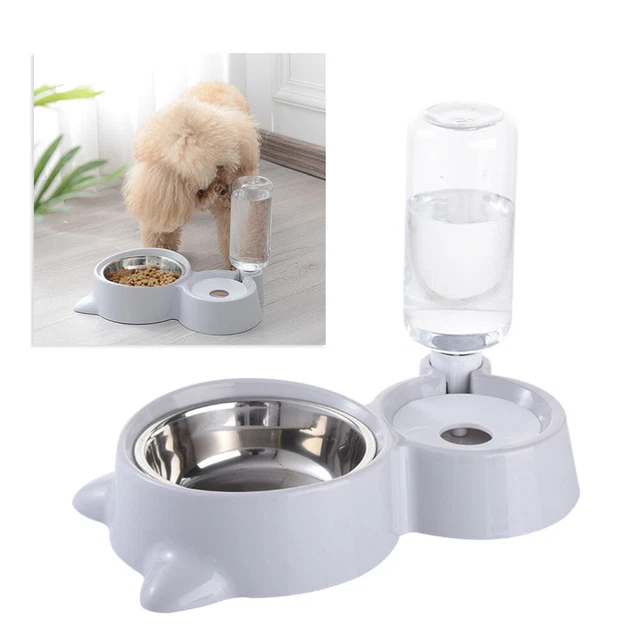 Closer Pets C100 un alimentatore automatico dell'animale domestico del Closer Pets C100 un alimentatore automatico dell'animale domestico del