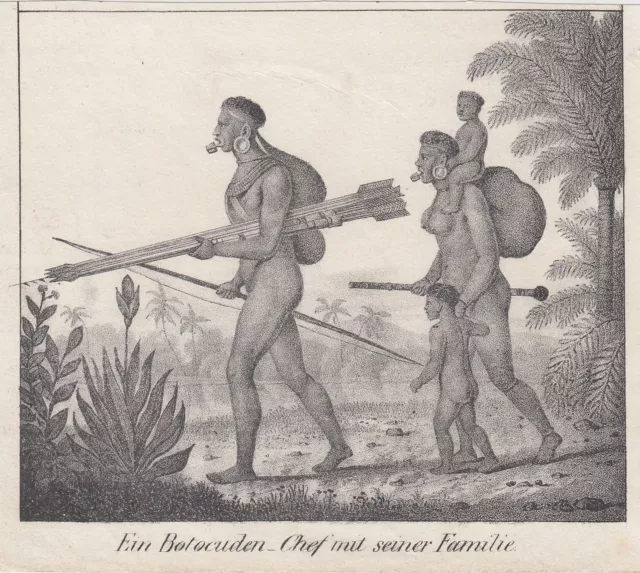 Brasil Ethnologie Botokude Original Litografía Völkergalerie 1840