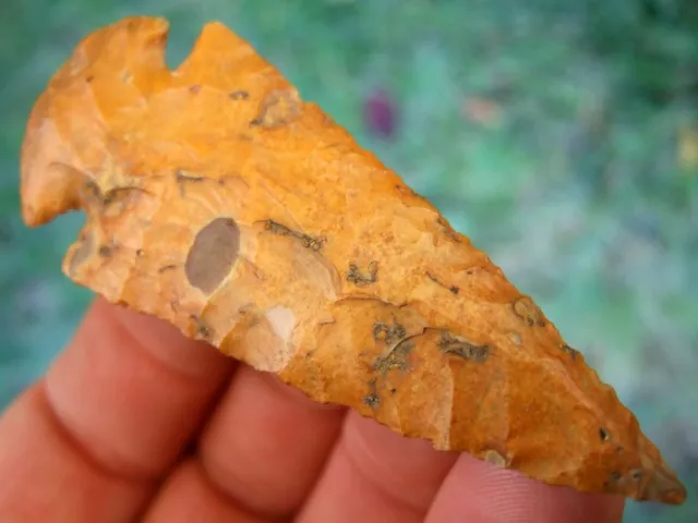 Super Fine Colorful 2 15/16 inch Kentucky Dovetail Point Insight COA Arrowheads