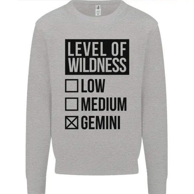 Levels of Wildness Gemini Mens Sweatshirt Jumper