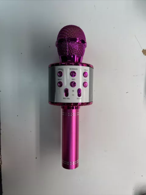 Karaoke Bluetooth Speaker with Microphone - No Power