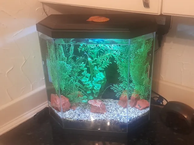 25 litre nano fish tank