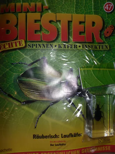 Mini-Biester/Echte Spinnen-Käfer-Insekten/Hachette / Ausgabe 47/Käfer