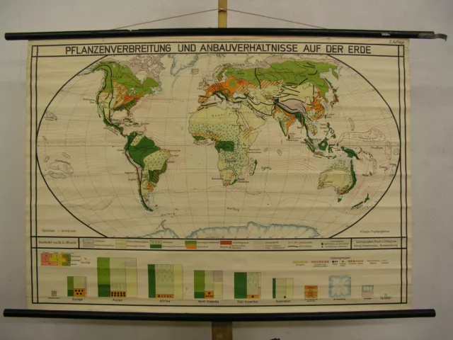 Schul-Wandkarte Pflanzen Anbau Völker Rohstoffe Holz Weltkarte 125x88cm ~1940