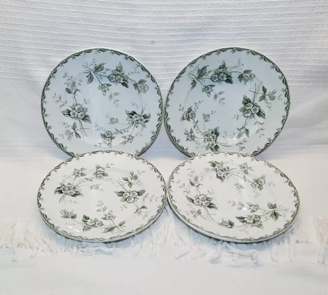 Lot de 4 assiettes plates de St Amand modèle Rosette, terre de fer 2