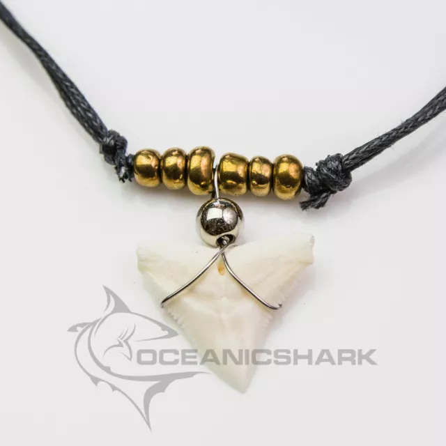 Bull shark tooth necklace for sale silver gold c67