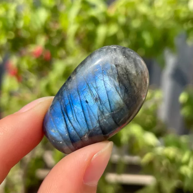 22G Natural Crystal Moonstone Polished Labradorite Stone Healing Energy Reik