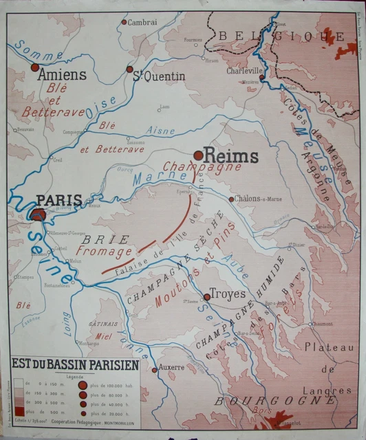 Carte de fidélité - Sylvain Rossignol