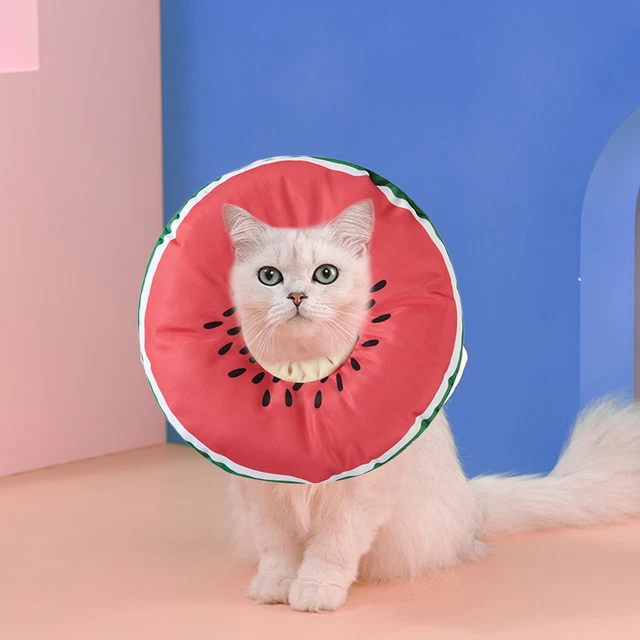 Cuello cervical para mascotas antimordeduras antiarañazos patrón de frutas mascota gato perro cono de cuello