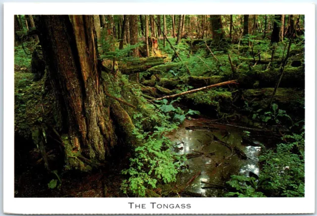 Postcard - The Tongass National Forest - Alaska