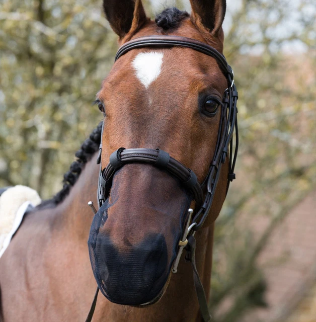 Equilibrium MUZZLE Nose NET Relief Head Shake White/Black/Brown CAVESSON FLASH