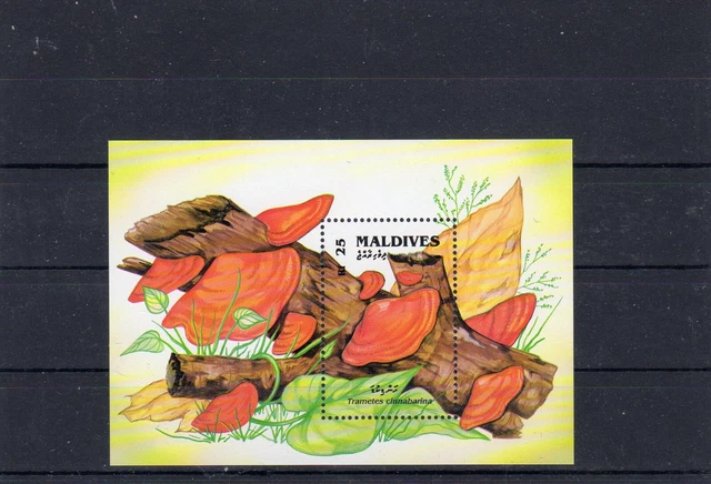 Malediven - Pilze - Bl. 231 **
