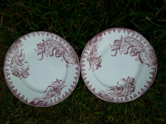 2 Assiettes plates anciennes Terre de Fer Sainte Amandinoise Modèle Iris