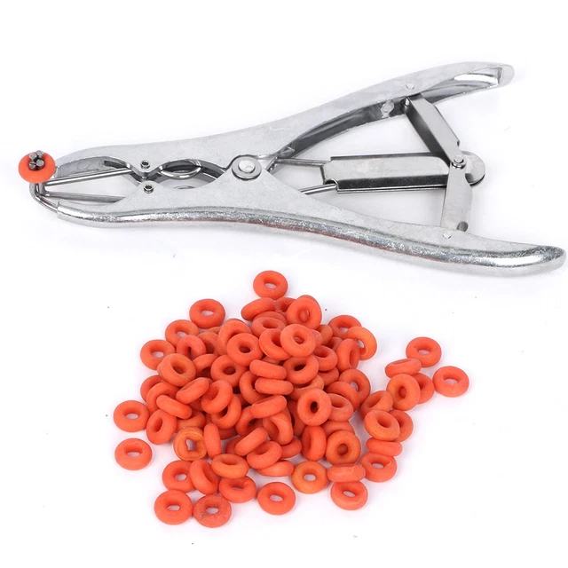 MARKING RING APPLICATOR Plastic Castration Kit + 100Pcs Rings Calves ...
