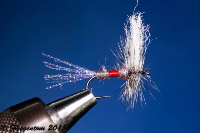 Fliegentom 3 Pieces Dry Fly - Chauffeur (Royal coachman variant)