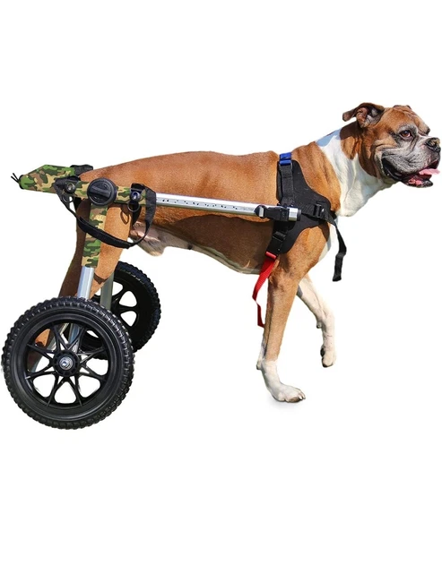 Dog Wheelchair - For Large Dogs - By Walkin' Wheels- Blue