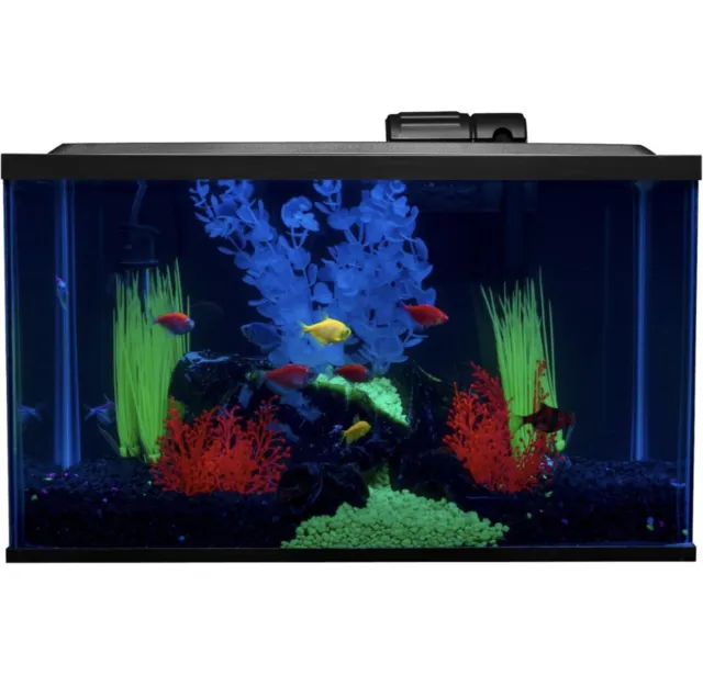 GloFish Aquarium Fish Tank Kit 10 Gallon