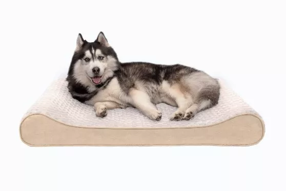 🌟 Brand New Cream Furhaven Ultra Plush Luxe Lounger Jumbo Memory Foam Dog Bed