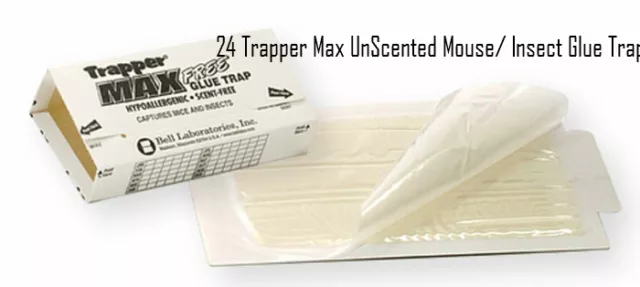Trapper Max Glue Traps Unscented  24 Pack Mice Glue Boards TrapperMax MouseTraps