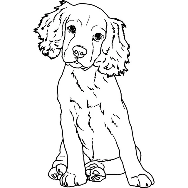 'Cachorro de cocker spaniel' Sello de Goma (Desmontado) (RS036237)