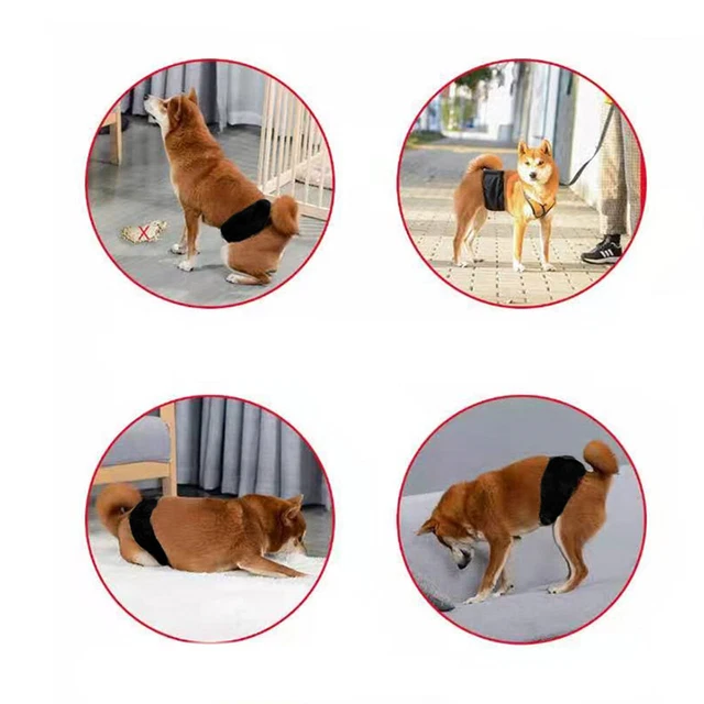 Hundewindeln Inkontinenz Windeln Waschbare Haustier Windeln Hygienehose 3 Größen 3
