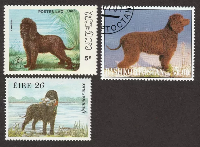 IRISH WATER SPANIEL ** Int'l Dog Postage Stamp Art Collection ** Gift Idea **