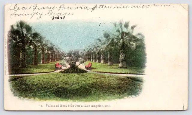 Postcard Los Angeles CA Palms At East Side Park Private Mailing Card Posted 1905