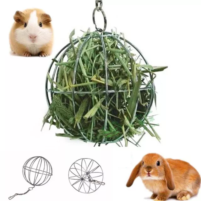 Dispensador de alimentos de esfera redonda de acero inoxidable conejo mascota bola colgante juguetes_reino Unido