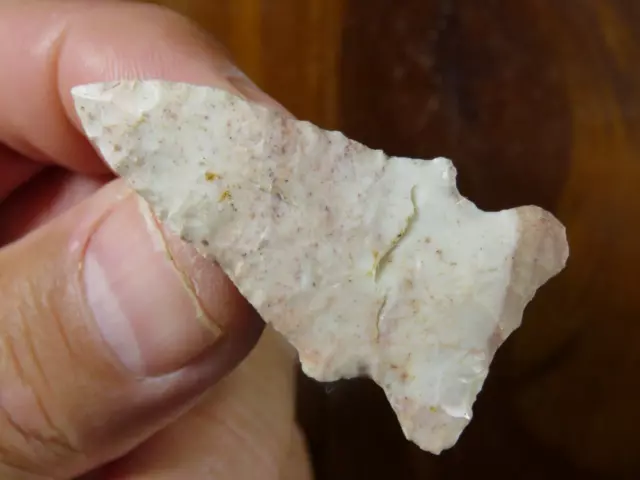 Archaic side-notched point, J. Davis coll. Missouri Bootheel 2 in. Great Color