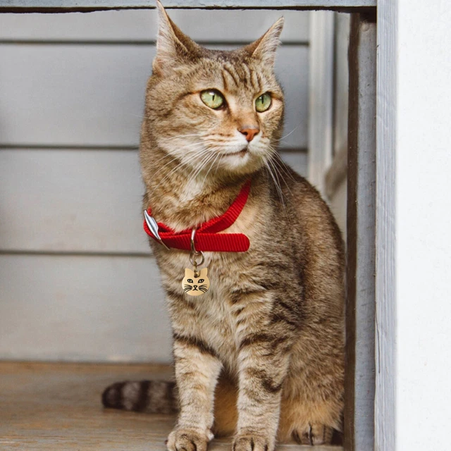Medaglietta Per Cane/Gatto In Acciaio Inox - Personalizzabile Con Nome E Telefono, Forma Osso - Foto 4