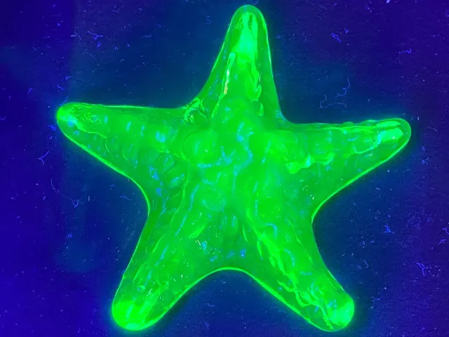 Green Vaseline glass Starfish ocean sea shell animal uranium paperweight / glows