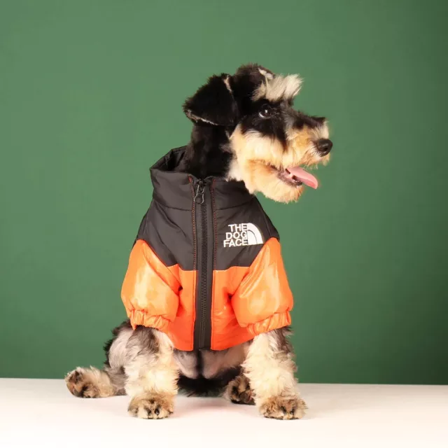 Waterproof Warm Pet Dog Coats Jacket Outdoor Winter Vest Puppy Coat Clothes 2