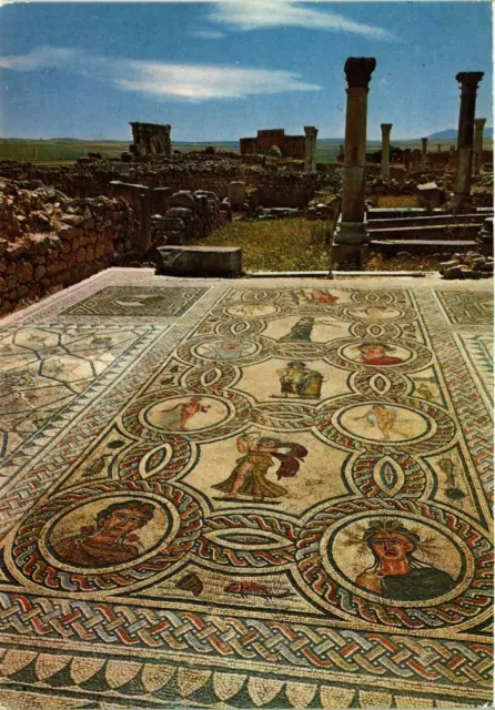 CPM AK Volubilis- Mosaique de la Maison d'Orphee MAROC (881086)