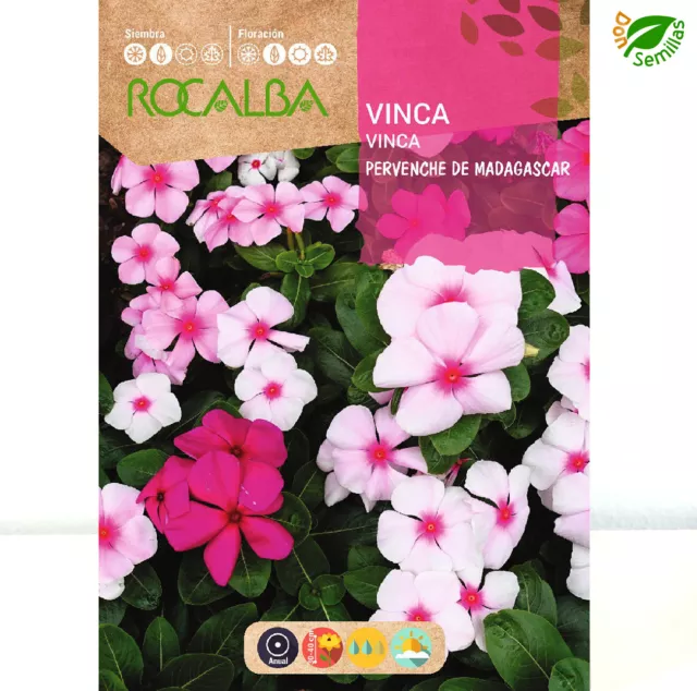 Vinca Pervenche de Madagascar ( Vinca rosea ) 0,5 g / 250 semillas seeds flores