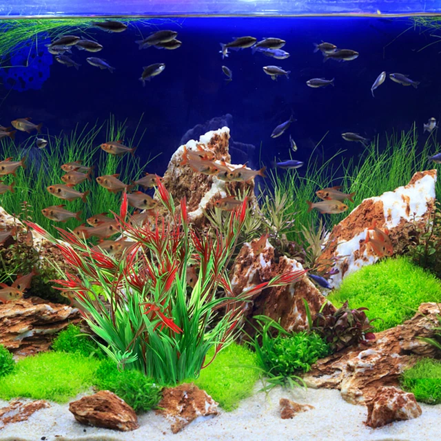 2 piezas de simulación de plantas de hierba de acuario para acuario y jardín decoración de paisajes