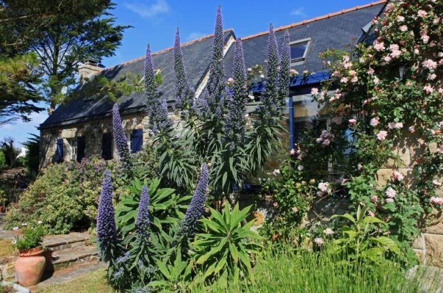 Indépendant maison de vacances en Bretagne (Presqu'île de Crozon) à louer 2