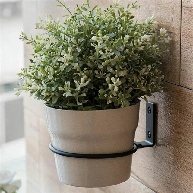 3x Wandtopf Pflanztopf mit Wandhalter Hängetopf Hängeampel Ø 4inch 6inch DHL