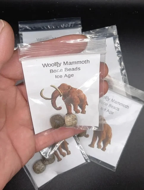 Genuine Wooly Mammoth Fossil Bone Beads