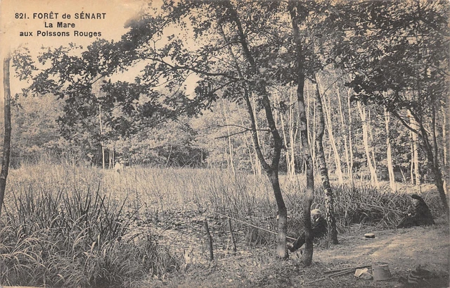 91-Foret De Senart-Mare Aux Poissons Rouges-N�6031-F/0019