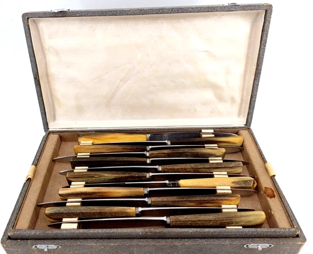 COFFRET DE 12 couteaux de table lame acier orfèvre Chabanne EUR 80,00 - FR