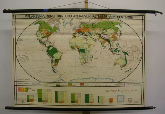 Schul-Wandkarte Plantes Culture Völker Matières Premières en Bois Carte Du Monde