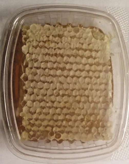 Comb Honey from Beekeeper, 100% Pure Raw Tennessee Wildflower  Honeycomb, 11 oz