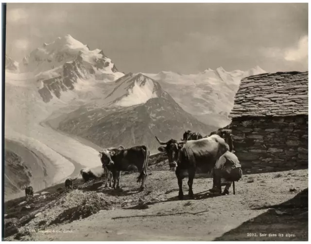 Schroeder. Suisse, Soir dans les Alpes  Vintage print.  Photomécanique  21