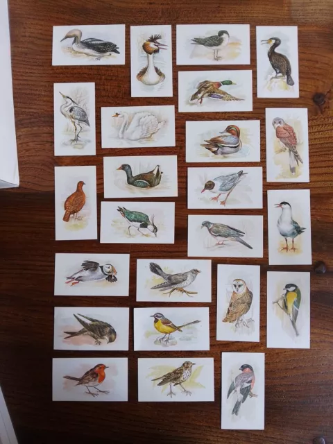 Partial Set John Player Grandee British Birds Cigarette Cards 24 Of 32