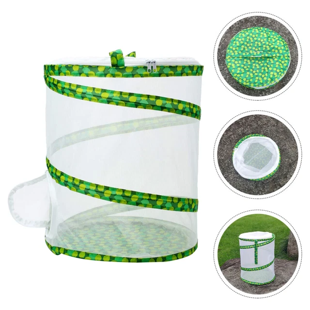 Observation Box Collapsible Caterpillar Habitat Kids Butterfly Kit Outdoor Child
